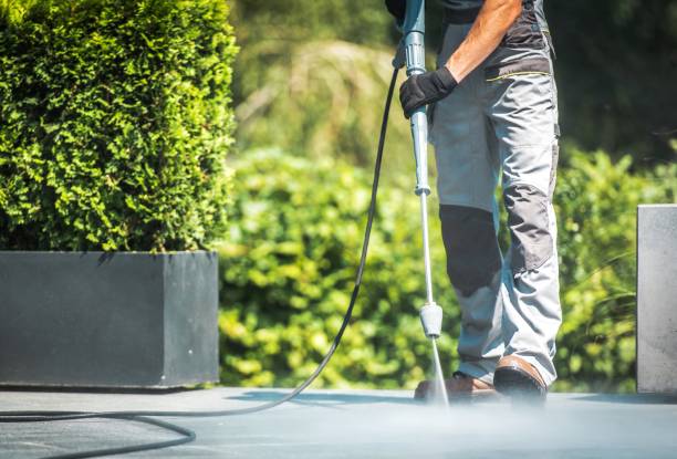 Best Vinyl Siding Pressure Washing in Leona Valley, CA